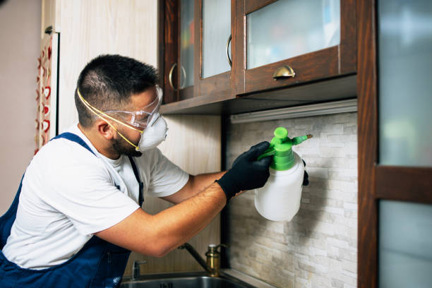 Best Pest Prevention Services  in Lowell, IN
