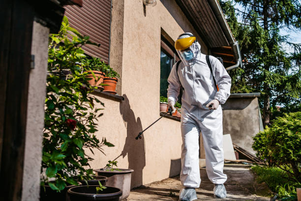 Best Flea Control Services  in Lowell, IN