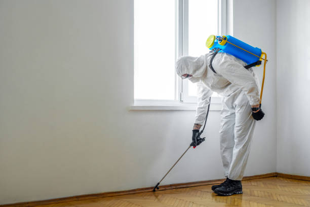 Best Pest Removal Services  in Lowell, IN