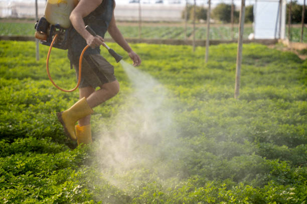 Best Mosquito Control Services  in Lowell, IN
