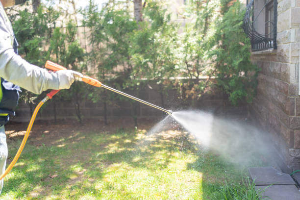 Best Wasp Removal Services  in Lowell, IN