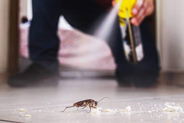 Best Mosquito Control Services  in Lowell, IN