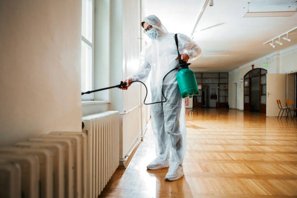 Best Termite Control Services  in Lowell, IN